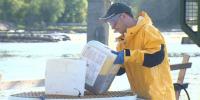 Sea lamprey treatment prompts water advisory in Northern New York
