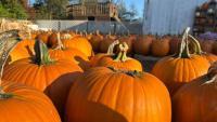 Record-breaking October heat has people in Central Virginia ready for fall
