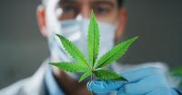 Nebraska Advocates, Medical Cannabis Board Clash Over Agency’s Direction