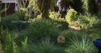 Florida city offers homeowners up to $3,000 to ditch thirsty grass — a move that slashes their water bills