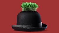 Neobanks beat other fintechs to profit thanks to SME lending gap