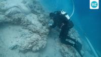 World's oldest shipwreck, as ancient as Great Pyramid, found near Turkey's Kekova Island
