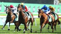 Previewing the world's richest turf race: Can anyone beat Ka Ying Rising?