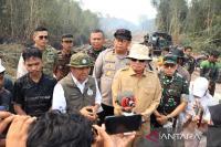 Indonesia maps four wildfire fronts in Tanjung Puting