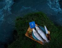 Khyber Aquaculture Set to Launch Packaged Trout Products