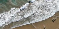 'Aggressive' and massive great white shark sighting prompts immediate closure of popular California beach