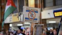 Somerville councilors, solicitor delay final action on Israel divestment proposal