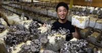 'What defines garbage?': Kyoto farmer grows mushrooms from used coffee grounds