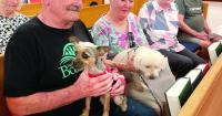 Orange City church hosts Blessing of the Animals