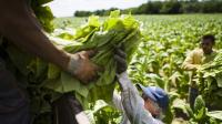 Central Europe Struggles to Square the Circle over Foreign Workers