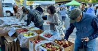 Watauga County Farmers Market hosting AppleFEST on Oct. 17