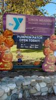 Local YMCA hosts October pumpkin patch, festive art, and theater storytelling in Pacific Palisades