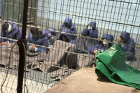 Israeli guards shoot Palestinian prisoners
