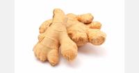 Peru expects to export 61,543 tons of ginger in 2026 as prices fall