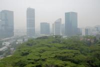 As Indonesian Fires Continue, Singapore Records Highest Air Pollution Reading Since 2015