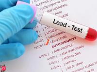 World Health Organization informs countries to improve efforts to prevent lead exposure