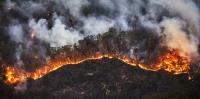 Australia urgently needs a national bushfire database. Here’s what it could look like