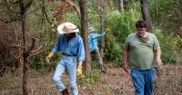 Oklahoma volunteers restore wildlife habitat amid peak fall bird migration