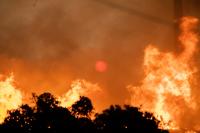 Singapore haze spurs air-purifier rush as Indonesia forests burn