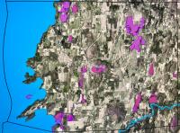 Of Vermont’s 97 natural community types, Charlotte has 10