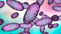 Fears ancient Russian 'zombie virus' could unleash new global 'pandemic'