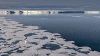 Arctic Wildlife Research Suffers as Geopolitical Competition Grows