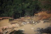 Banks lent nearly $600 billion to companies threatening tropical forests, report finds
