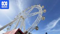 Once Melbourne's 'laughing stock', Star ferris wheel turns again