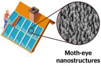 Scientists develop moth-eye-inspired antireflective surfaces for PV modules
