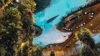 The Best Airports in the World for Art, According to the “Oscars of the Aviation Industry”