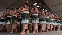 Pacific artists are more than just a NZ election afterthought, tutor says