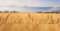 USDA NRCS extends conservation program application deadline for North Dakota producers