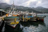 South Korea Launches Quarterly Ocean Forecasts as Pollock Vanishes, Squid Collapses 90 Percent