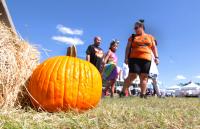 Things to do around Tampa & Wesley Chapel: Oct. 15-21