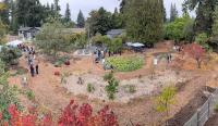 Coming home to the Ching Garden