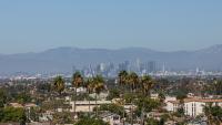 California’s Missing Reform Coalition