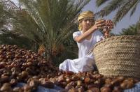 Oman to host 6th Session of International Dates Council