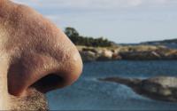 Finland's Turku Archipelago Campaign Invites Travelers To 'Get a Nose Job'