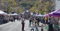 Fall Festival lets community have fun, support local groups and businesses