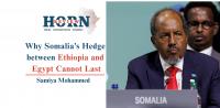 Why Somalia’s Hedge between Ethiopia and Egypt Cannot Last