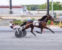 DSBF Final: Daringly, Mike Franks take trotting crowns