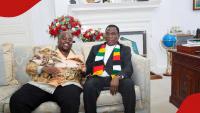 Zimbabwe approves $650m solar project after delays in late Chivayo’s Gwanda deal