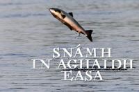 Snámh In Aghaidh Easa: Climate change insight revealed through Wild Atlantic Salmon series on TG4
