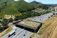 California Highway 101 faces major daytime closures as the world’s largest wildlife crossing takes shape