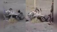 13 Afghan Migrants Seriously Injured in Road Accident in Iran