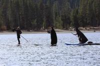 Entertainment this week: Witch Paddle, The Floozies and more