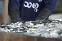 South Korea tightens migrant fisher safeguards, but advocates say they fall short