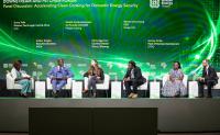 Energy Summit calls on African nations to prepare local communities before investment projects begin