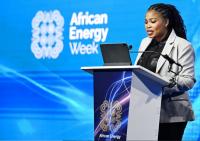 Africa Energy Week calls on nations to deepen ties in energy trade and infrastructure for sustainable energy security