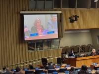 Moroccan Sahara: The Courage of the Possible